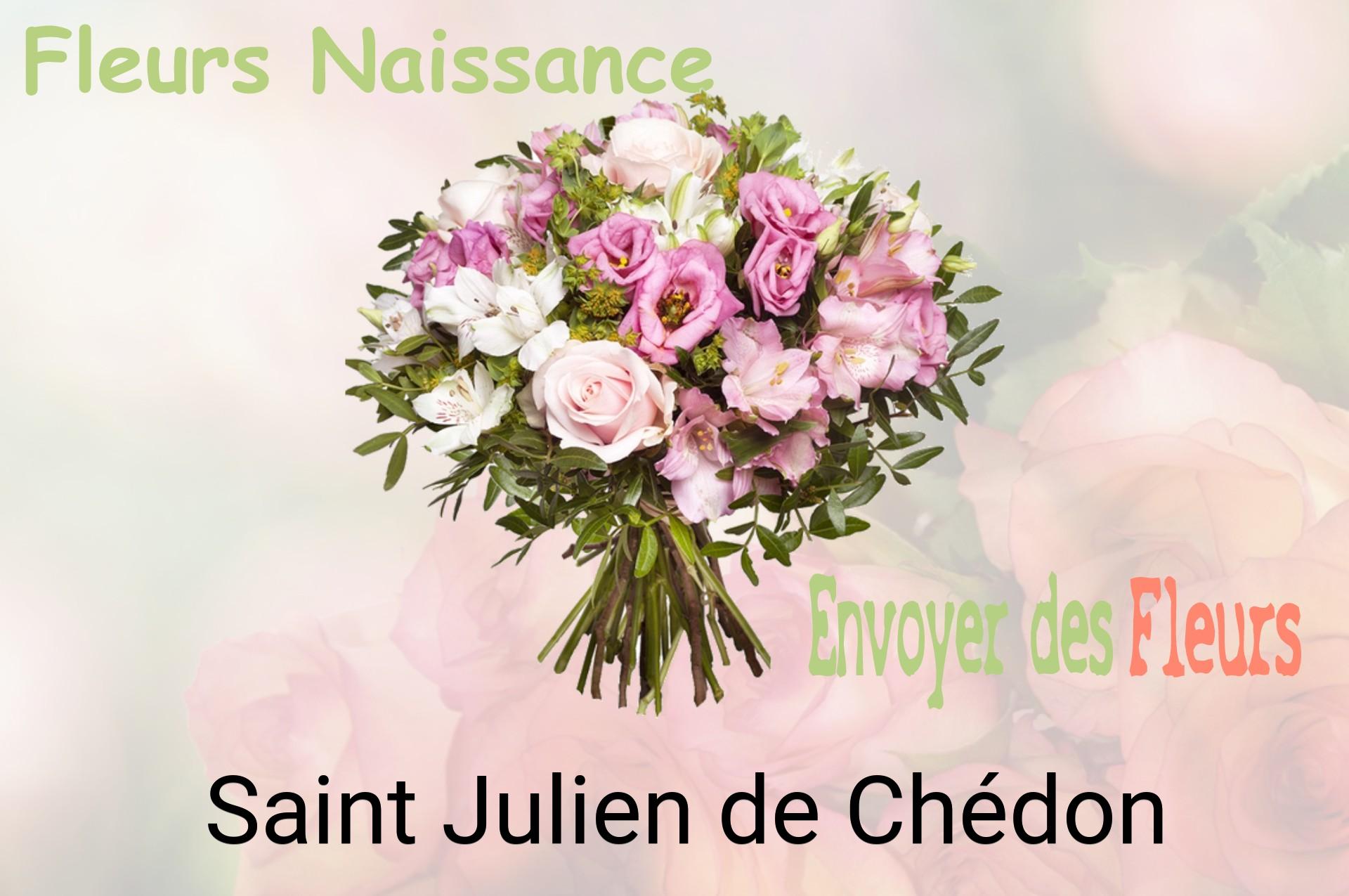 Bouquet de fleurs de naissance livré à Saint-Julien-de-Chédon